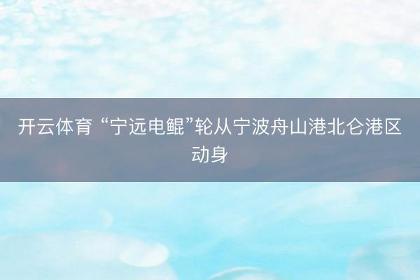开云体育 “宁远电鲲”轮从宁波舟山港北仑港区动身